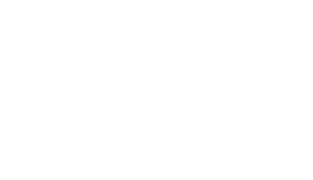 The Auction University